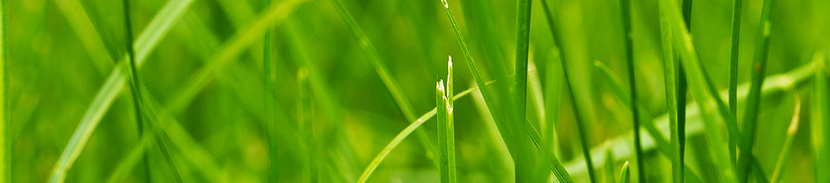 短信呼叫轰炸app